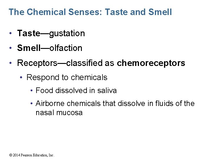 The Chemical Senses: Taste and Smell • Taste—gustation • Smell—olfaction • Receptors—classified as chemoreceptors