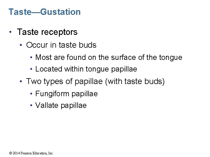 Taste—Gustation • Taste receptors • Occur in taste buds • Most are found on