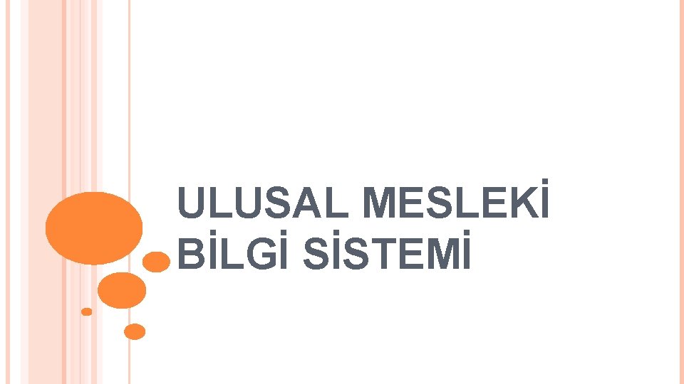 ULUSAL MESLEKİ BİLGİ SİSTEMİ 