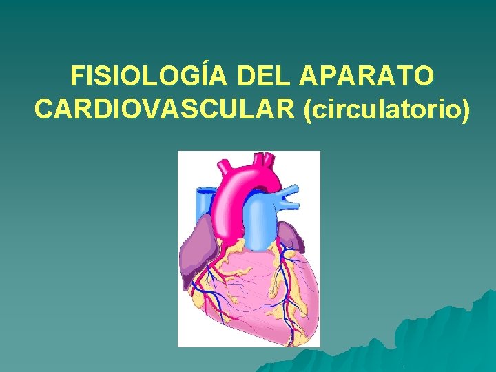 FISIOLOGÍA DEL APARATO CARDIOVASCULAR (circulatorio) FISIOLOGÍA DEL APARATO CARDIOVASCULAR (circulatorio)