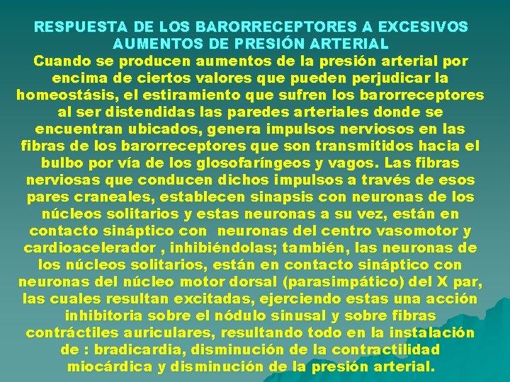 RESPUESTA DE LOS BARORRECEPTORES A EXCESIVOS AUMENTOS DE PRESIÓN ARTERIAL Cuando se producen aumentos RESPUESTA DE LOS BARORRECEPTORES A EXCESIVOS AUMENTOS DE PRESIÓN ARTERIAL Cuando se producen aumentos