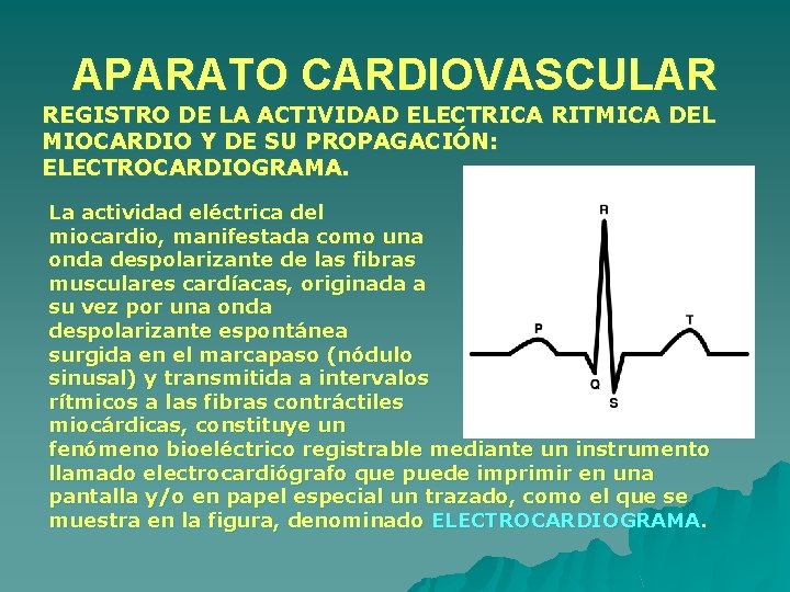 APARATO CARDIOVASCULAR REGISTRO DE LA ACTIVIDAD ELECTRICA RITMICA DEL MIOCARDIO Y DE SU PROPAGACIÓN: APARATO CARDIOVASCULAR REGISTRO DE LA ACTIVIDAD ELECTRICA RITMICA DEL MIOCARDIO Y DE SU PROPAGACIÓN: