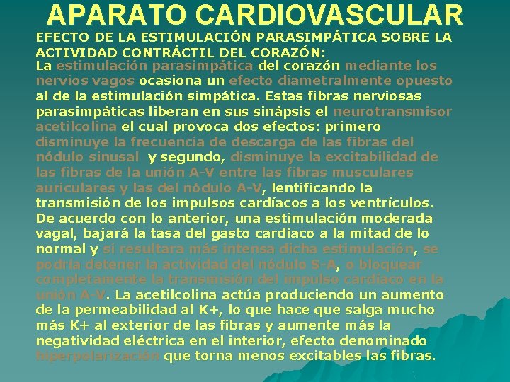 APARATO CARDIOVASCULAR EFECTO DE LA ESTIMULACIÓN PARASIMPÁTICA SOBRE LA ACTIVIDAD CONTRÁCTIL DEL CORAZÓN: La APARATO CARDIOVASCULAR EFECTO DE LA ESTIMULACIÓN PARASIMPÁTICA SOBRE LA ACTIVIDAD CONTRÁCTIL DEL CORAZÓN: La
