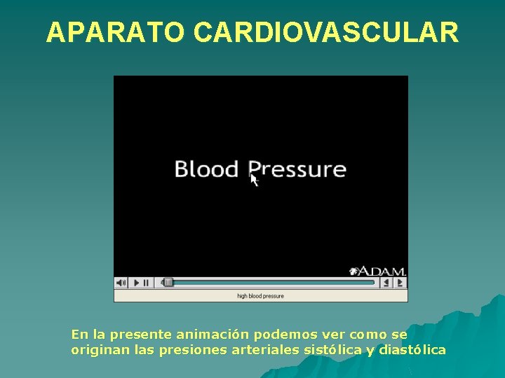 APARATO CARDIOVASCULAR En la presente animación podemos ver como se originan las presiones arteriales APARATO CARDIOVASCULAR En la presente animación podemos ver como se originan las presiones arteriales
