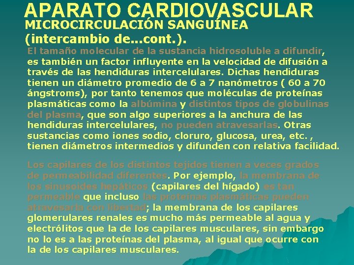 APARATO CARDIOVASCULAR MICROCIRCULACIÓN SANGUÍNEA (intercambio de. . . cont. ). El tamaño molecular de APARATO CARDIOVASCULAR MICROCIRCULACIÓN SANGUÍNEA (intercambio de. . . cont. ). El tamaño molecular de