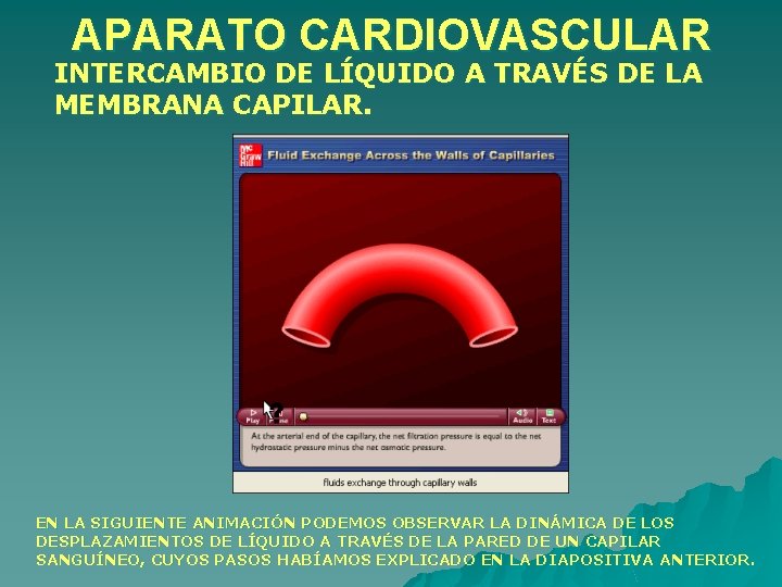 APARATO CARDIOVASCULAR INTERCAMBIO DE LÍQUIDO A TRAVÉS DE LA MEMBRANA CAPILAR. EN LA SIGUIENTE APARATO CARDIOVASCULAR INTERCAMBIO DE LÍQUIDO A TRAVÉS DE LA MEMBRANA CAPILAR. EN LA SIGUIENTE