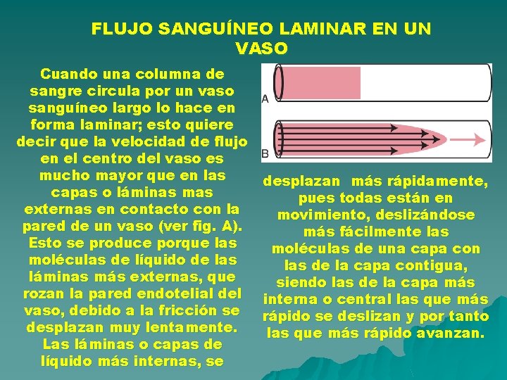 FLUJO SANGUÍNEO LAMINAR EN UN VASO Cuando una columna de sangre circula por un FLUJO SANGUÍNEO LAMINAR EN UN VASO Cuando una columna de sangre circula por un