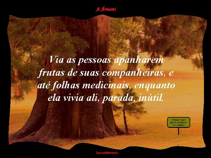 Via as pessoas apanharem frutas de suas companheiras, e até folhas medicinais, enquanto ela