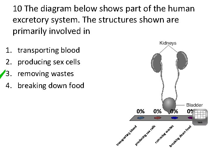 10 The diagram below shows part of the human excretory system. The structures shown