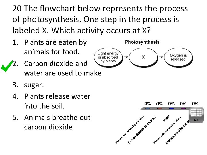 20 The flowchart below represents the process of photosynthesis. One step in the process