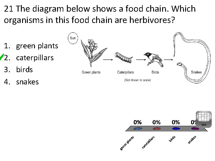 21 The diagram below shows a food chain. Which organisms in this food chain