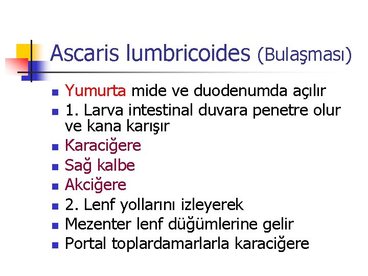 Ascaris lumbricoides (Bulaşması) n n n n Yumurta mide ve duodenumda açılır 1. Larva