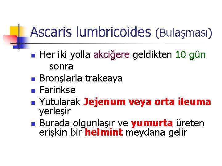 Ascaris lumbricoides (Bulaşması) Her iki yolla akciğere geldikten 10 gün sonra n Bronşlarla trakeaya