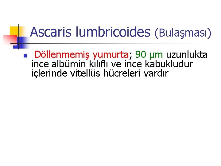 Ascaris lumbricoides (Bulaşması) n Döllenmemiş yumurta; 90 µm uzunlukta ince albümin kılıflı ve ince