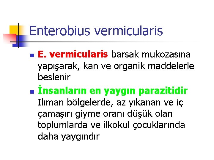 Enterobius vermicularis n n E. vermicularis barsak mukozasına yapışarak, kan ve organik maddelerle beslenir