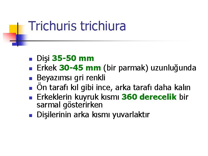 Trichuris trichiura n n n Dişi 35 -50 mm Erkek 30 -45 mm (bir