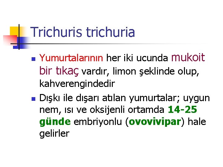 Trichuris trichuria n n Yumurtalarının her iki ucunda mukoit bir tıkaç vardır, limon şeklinde