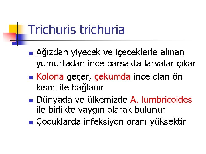 Trichuris trichuria n n Ağızdan yiyecek ve içeceklerle alınan yumurtadan ince barsakta larvalar çıkar