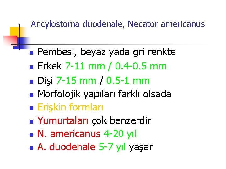 Ancylostoma duodenale, Necator americanus n n n n Pembesi, beyaz yada gri renkte Erkek