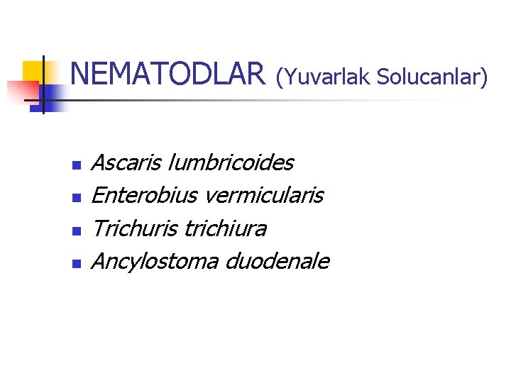 NEMATODLAR (Yuvarlak Solucanlar) n n Ascaris lumbricoides Enterobius vermicularis Trichuris trichiura Ancylostoma duodenale 
