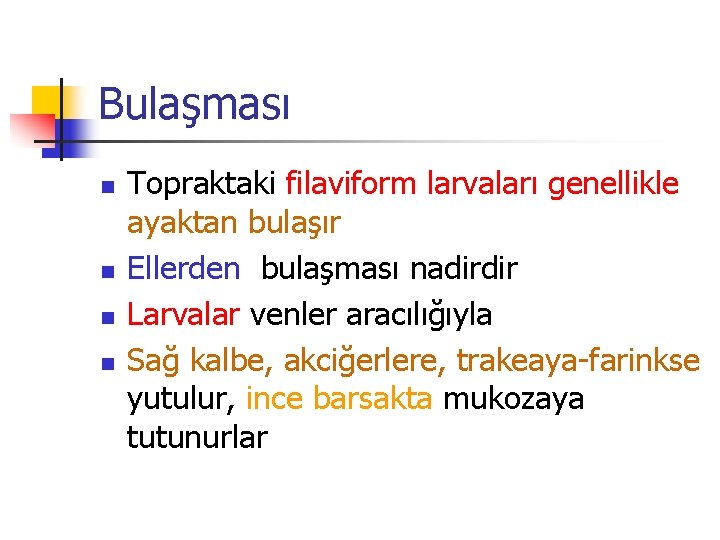 Bulaşması n n Topraktaki filaviform larvaları genellikle ayaktan bulaşır Ellerden bulaşması nadirdir Larvalar venler