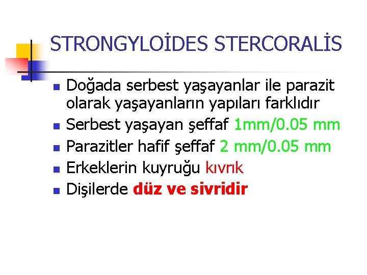 STRONGYLOİDES STERCORALİS n n n Doğada serbest yaşayanlar ile parazit olarak yaşayanların yapıları farklıdır