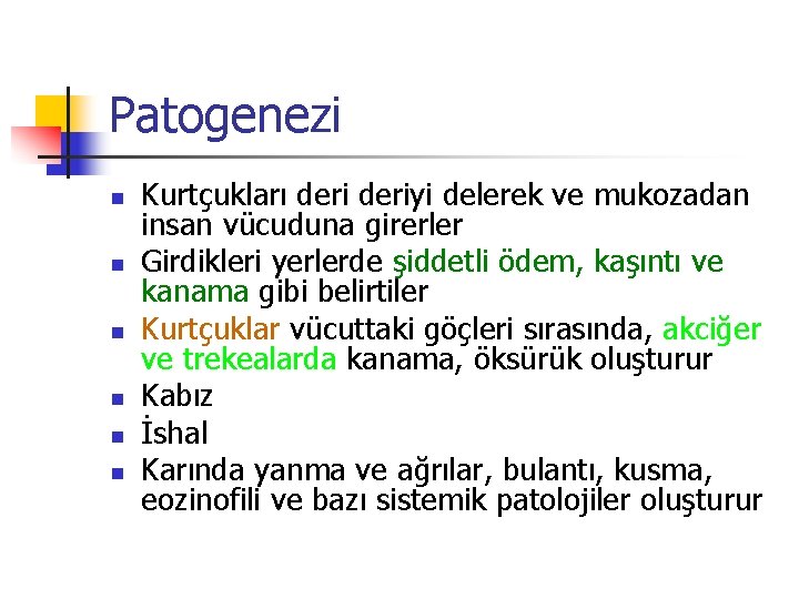 Patogenezi n n n Kurtçukları deriyi delerek ve mukozadan insan vücuduna girerler Girdikleri yerlerde
