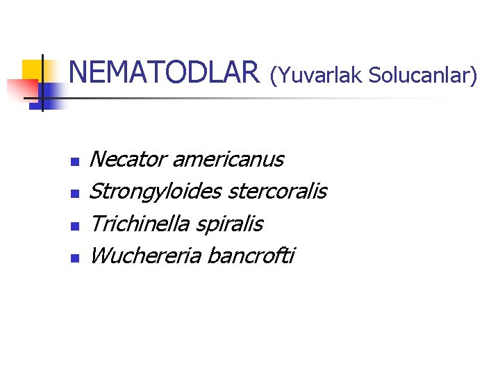 NEMATODLAR (Yuvarlak Solucanlar) n n Necator americanus Strongyloides stercoralis Trichinella spiralis Wuchereria bancrofti 