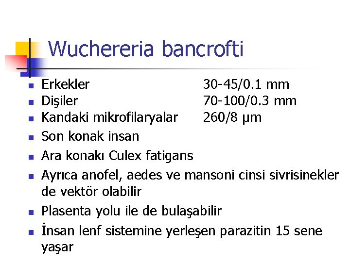 Wuchereria bancrofti n n n n Erkekler 30 -45/0. 1 mm Dişiler 70 -100/0.