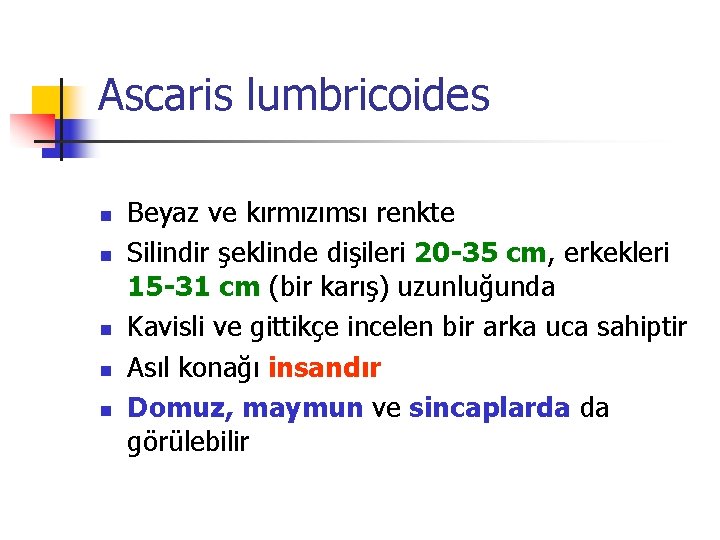 Ascaris lumbricoides n n n Beyaz ve kırmızımsı renkte Silindir şeklinde dişileri 20 -35