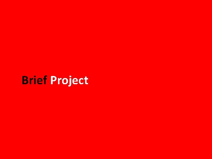 Brief Project 