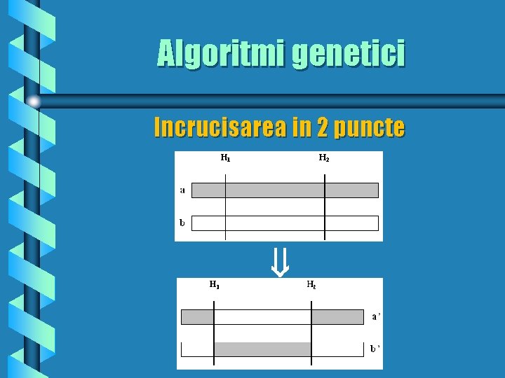 Algoritmi genetici Incrucisarea in 2 puncte 