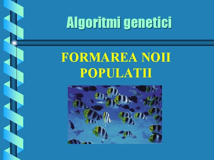 Algoritmi genetici FORMAREA NOII POPULATII 