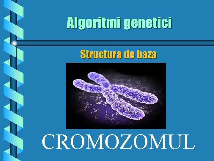 Algoritmi genetici Structura de baza CROMOZOMUL 