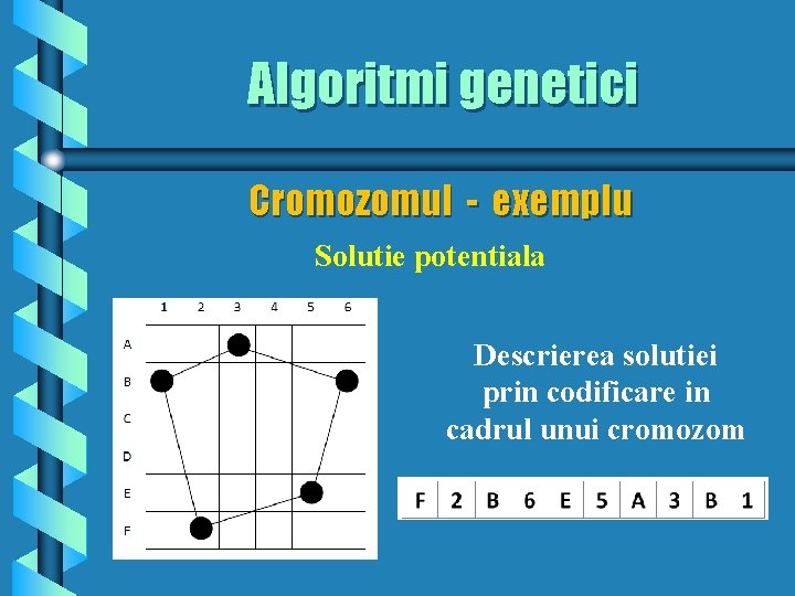 Algoritmi genetici Cromozomul - exemplu Solutie potentiala Descrierea solutiei prin codificare in cadrul unui