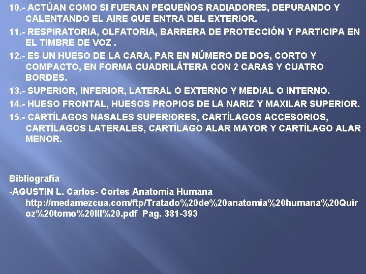 10. - ACTÚAN COMO SI FUERAN PEQUEÑOS RADIADORES, DEPURANDO Y CALENTANDO EL AIRE QUE