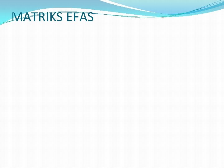 MATRIKS EFAS 