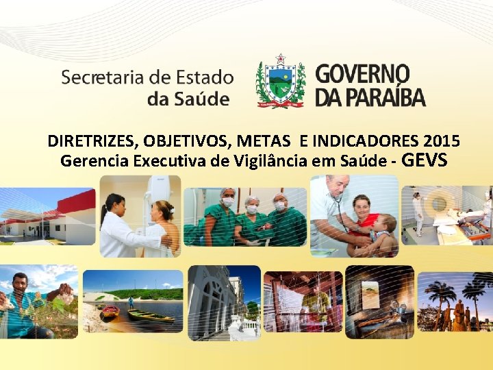 DIRETRIZES, OBJETIVOS, METAS E INDICADORES 2015 Gerencia Executiva de Vigilância em Saúde - GEVS