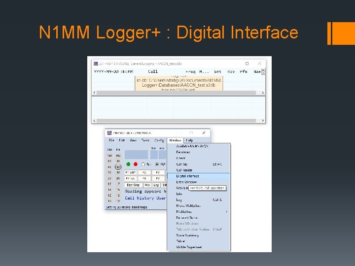 N 1 MM Logger+ : Digital Interface 