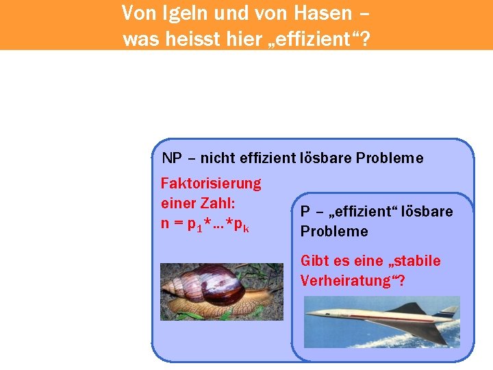 Von Igeln und von Hasen – was heisst hier „effizient“? NP – nicht effizient