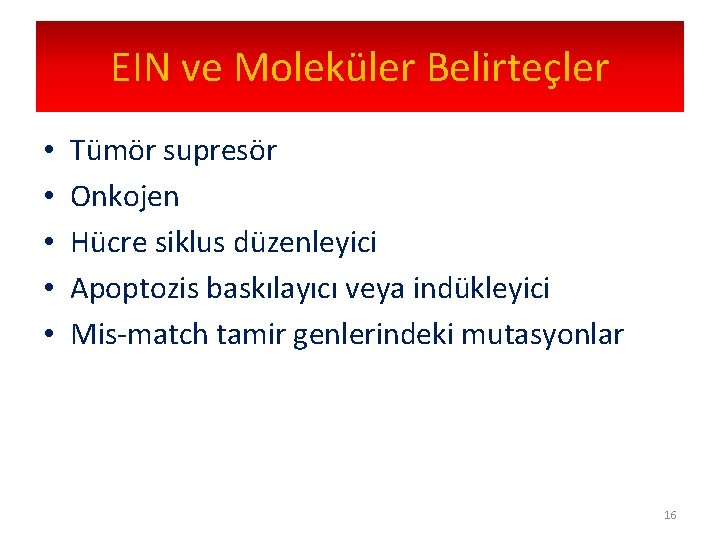 EIN ve Moleküler Belirteçler • • • Tümör supresör Onkojen Hücre siklus düzenleyici Apoptozis