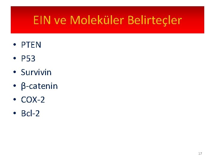 EIN ve Moleküler Belirteçler • • • PTEN P 53 Survivin β-catenin COX-2 Bcl-2