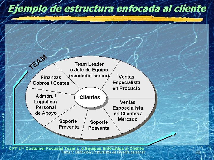 Ejemplo de estructura enfocada al cliente M A TE Team Leader o Jefe de