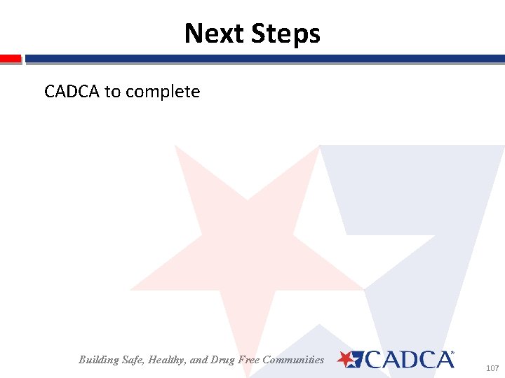 Next Steps CADCA to complete Building Safe, Healthy, and Drug Free Communities 107 
