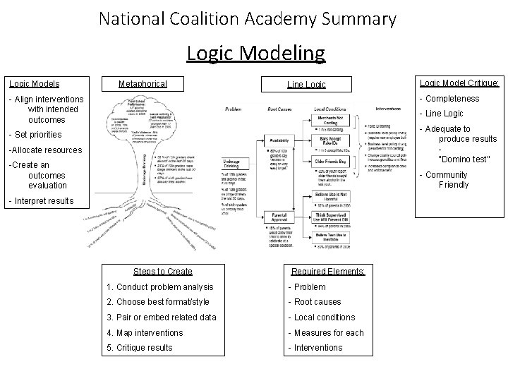 National Coalition Academy Summary Logic Modeling Logic Models Metaphorical Line Logic Model Critique: Completeness