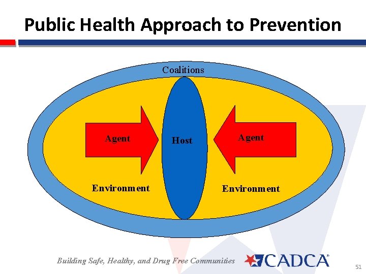 Public Health Approach to Prevention Coalitions Agent Environment Agent Host Environment Building Safe, Healthy,