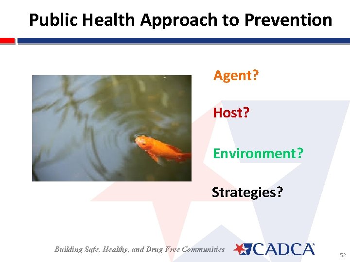 Public Health Approach to Prevention Agent? Host? Environment? Strategies? Building Safe, Healthy, and Drug