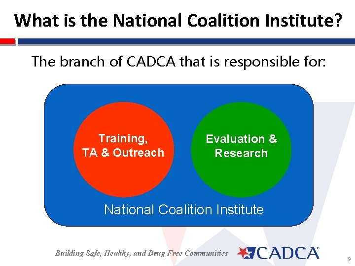 What is the National Coalition Institute? The branch of CADCA that is responsible for: