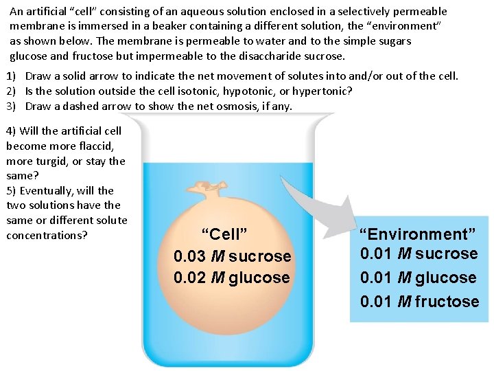 An artificial “cell” consisting of an aqueous solution enclosed in a selectively permeable membrane