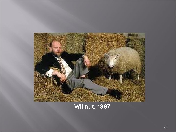 Wilmut, 1997 12 